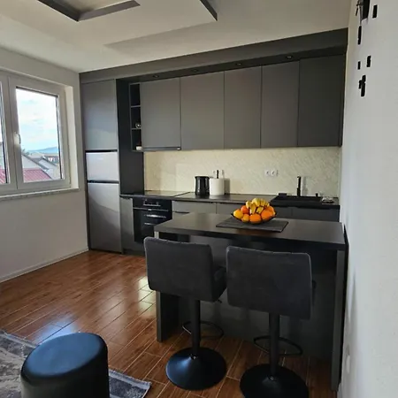 Apartment Stan Na Dan Jovic